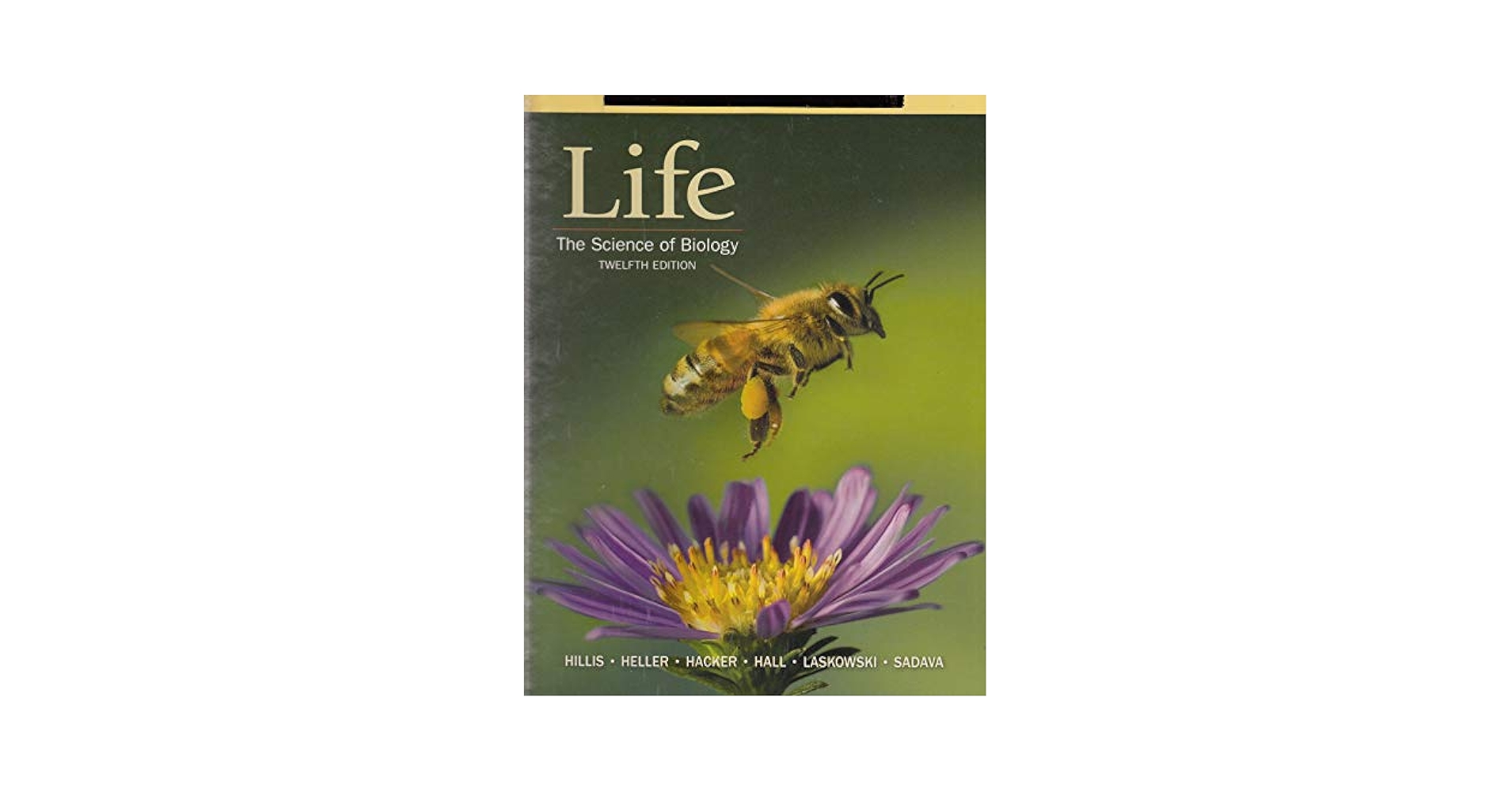 Life the Science of Biology　12版　洋書 Life the Science of Biology 12版 洋書